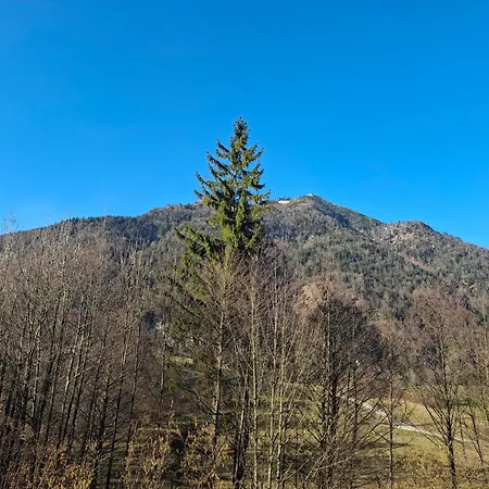 公寓 Alpine Near Bad Ischl#2