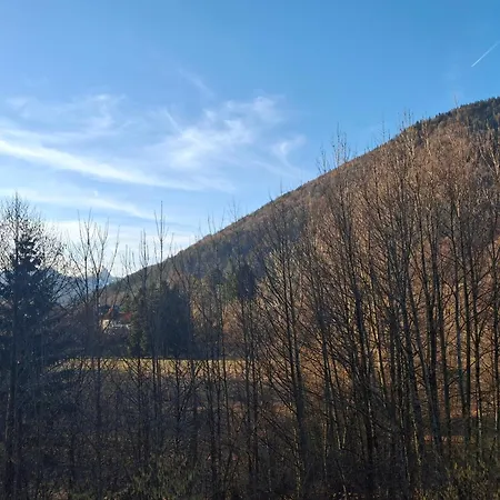 Alpine Near Bad Ischl#2 公寓 Haiden