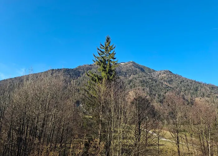 公寓 Alpine Near Bad Ischl#2