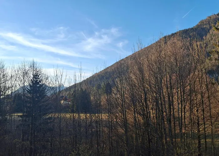 Alpine Near Bad Ischl#2 公寓 Haiden