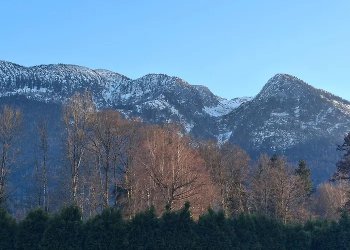 公寓 Alpine Near Bad Ischl#2 *